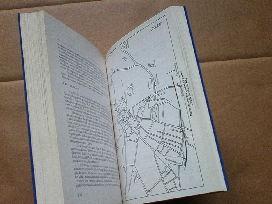 Terra de águas : Caldas da Rainha, história e cultura