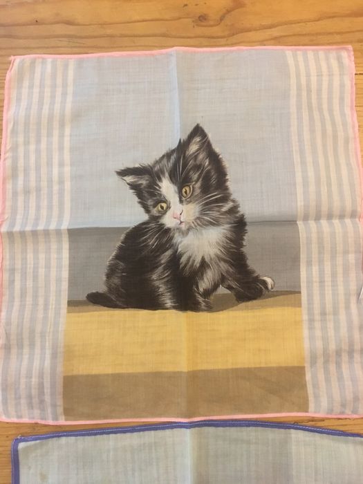 2 pequenos lenços de bolso de criança