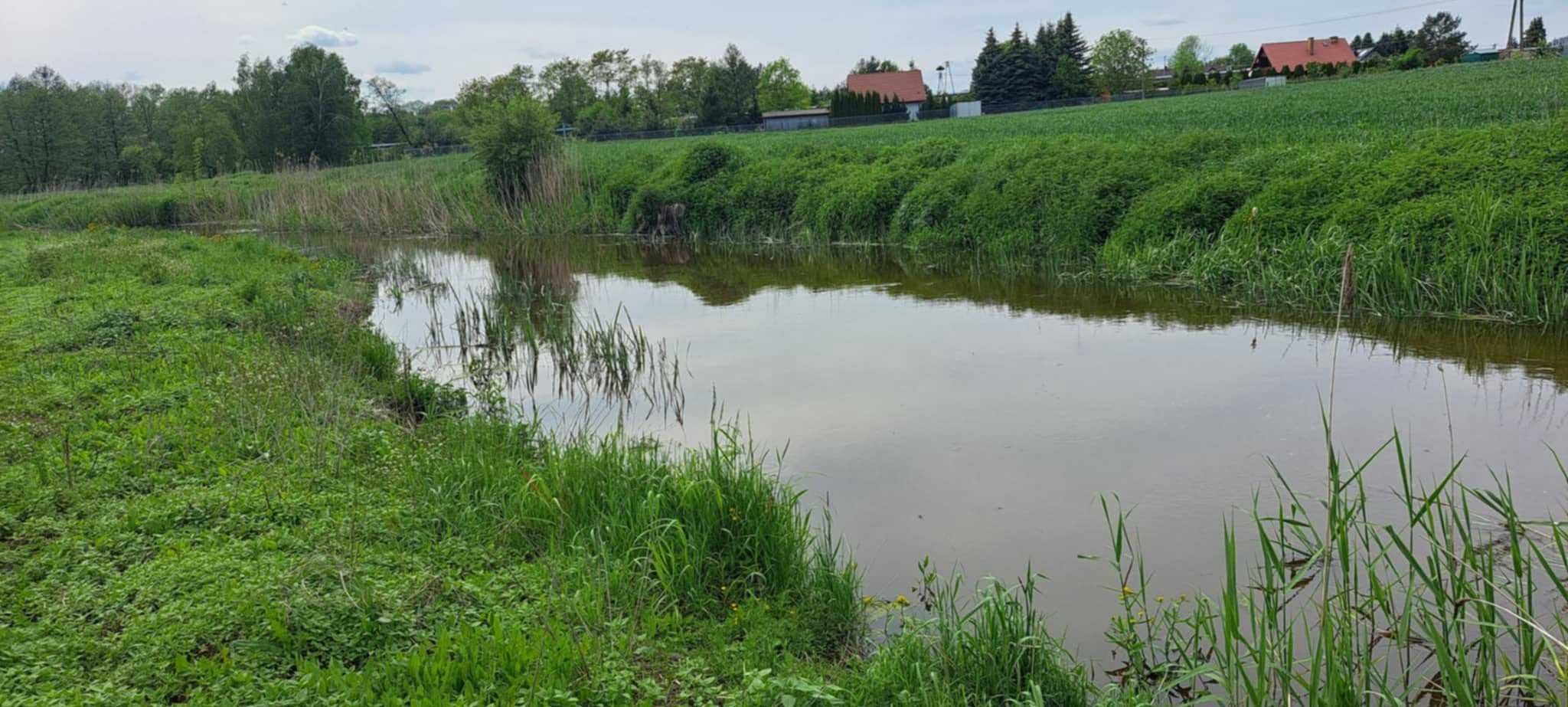 Dom, siedlisko- działka rolna nad rzeką Świnką Turowola, gm. Puchaczów