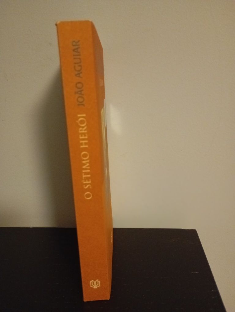 Livro, o sétimo herói