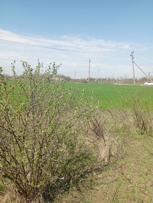 Земельна ділянка 20 сот.с.Знаменівка