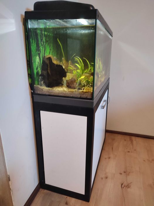 Akwarium z szafką