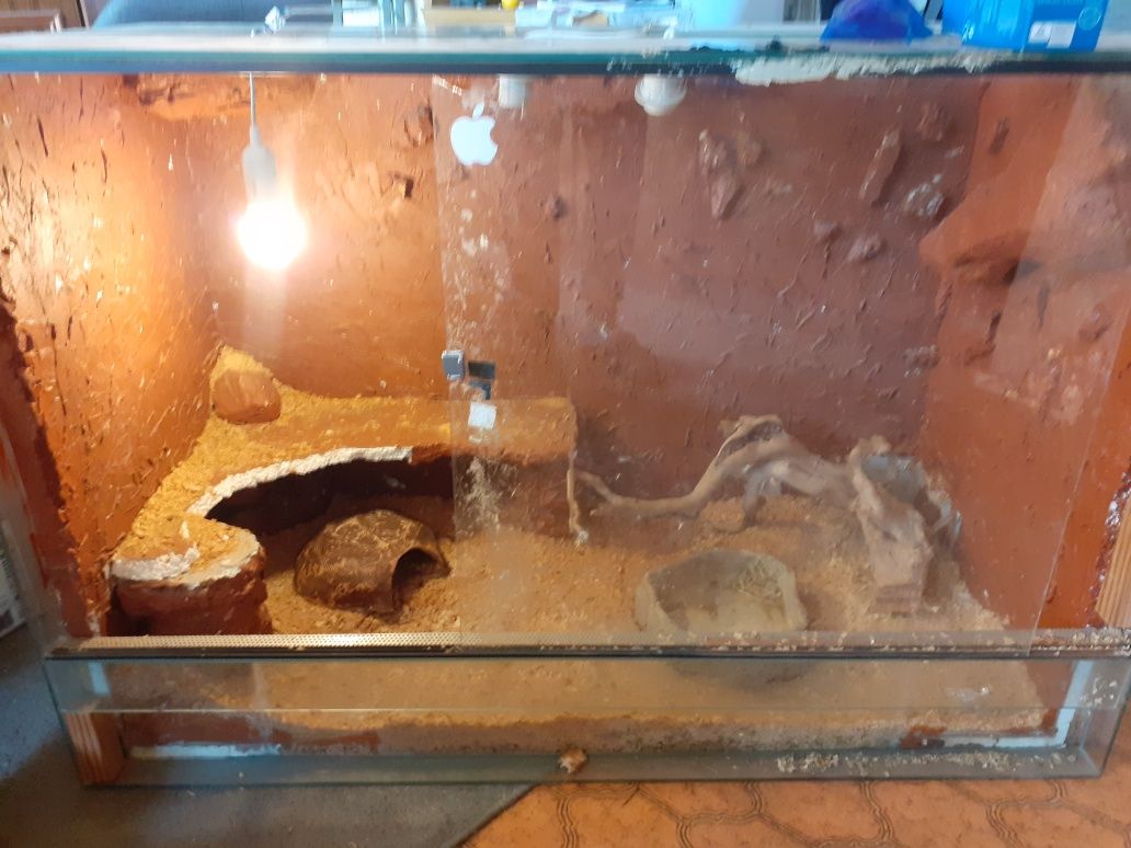 Terrarium dla Węża/Jaszczurki