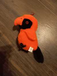 Pluszak - pomarańczowa papuga