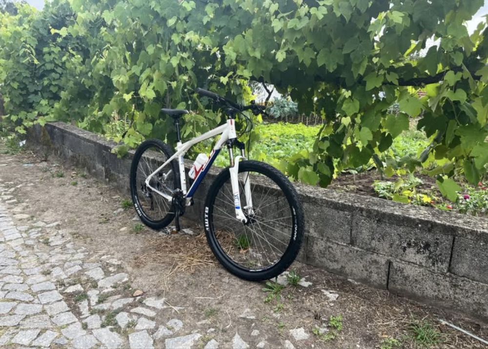 Bicicleta GT roda 29
