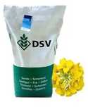 Озимий ріпак Темптейшн DSV