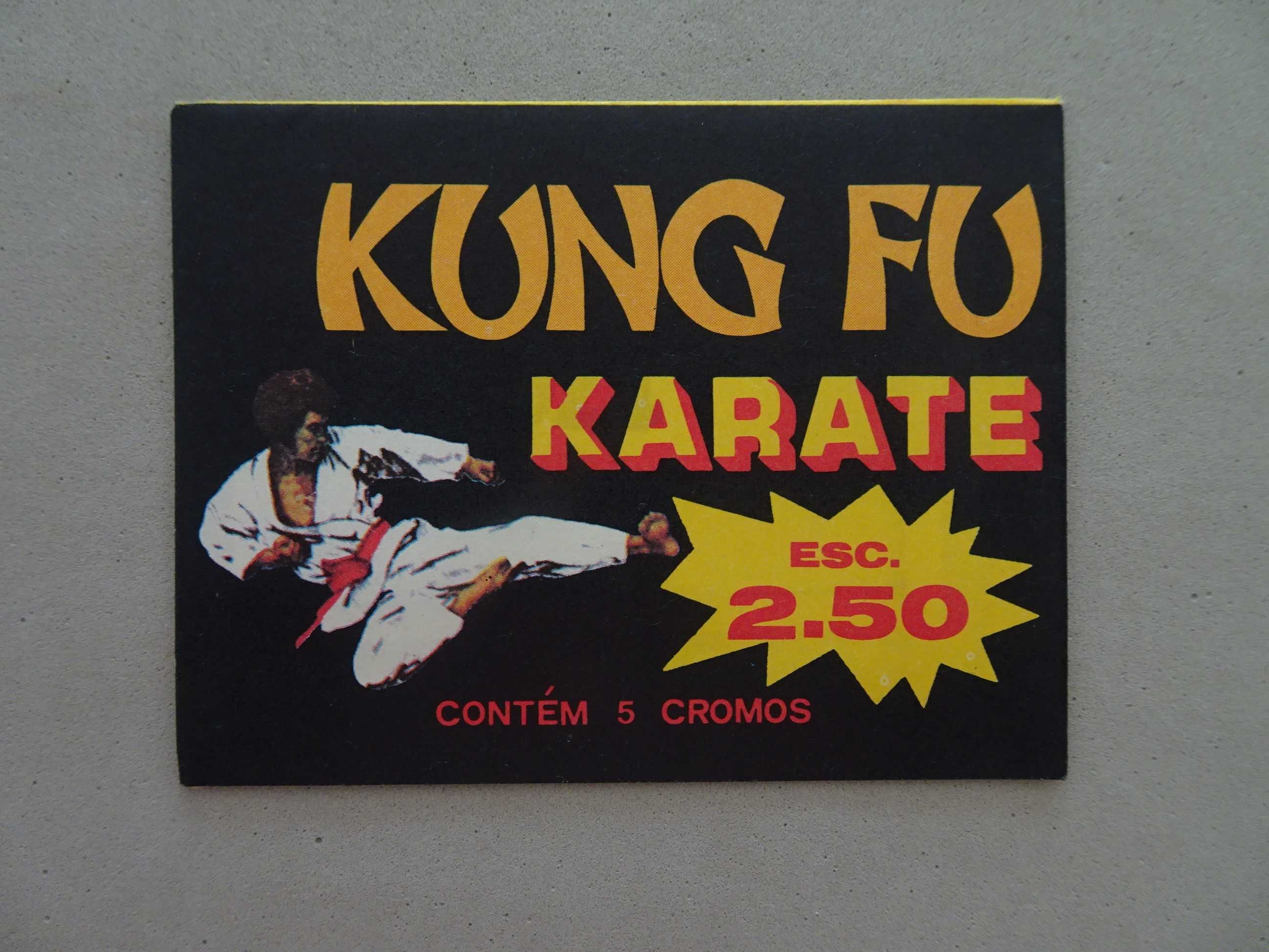 Carteira de cromos fechada Kung-Fu Karaté