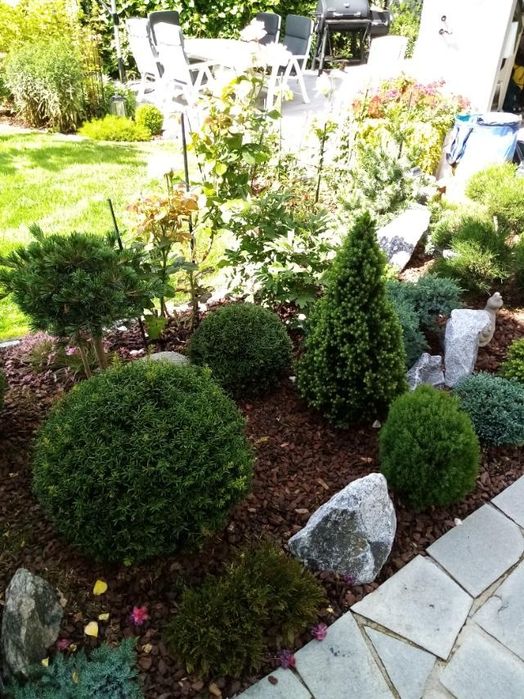 Послуги садівника