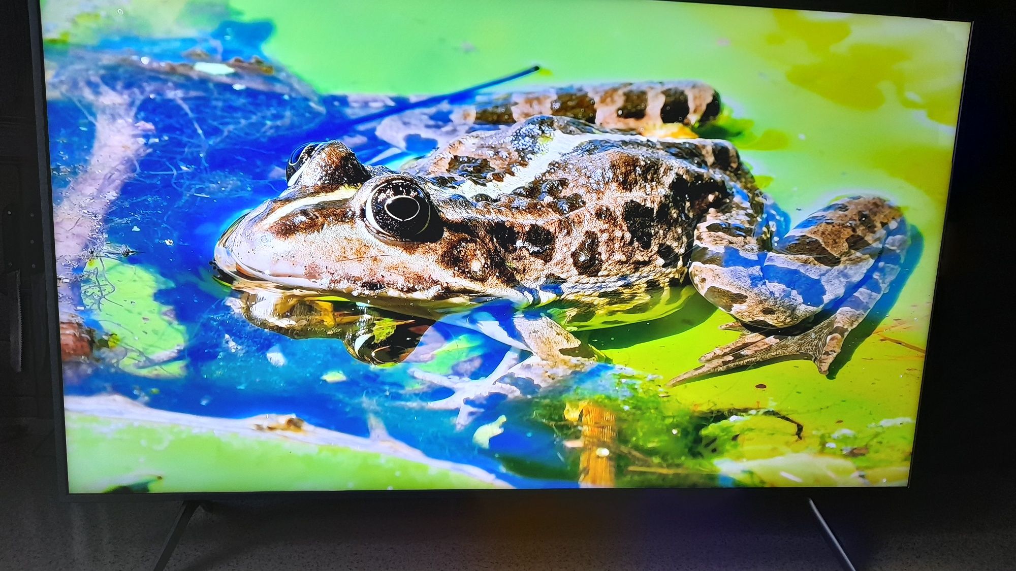 Qled Samsung 65", smart, 03.2023r + wieszak