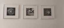 3 quadros prateados