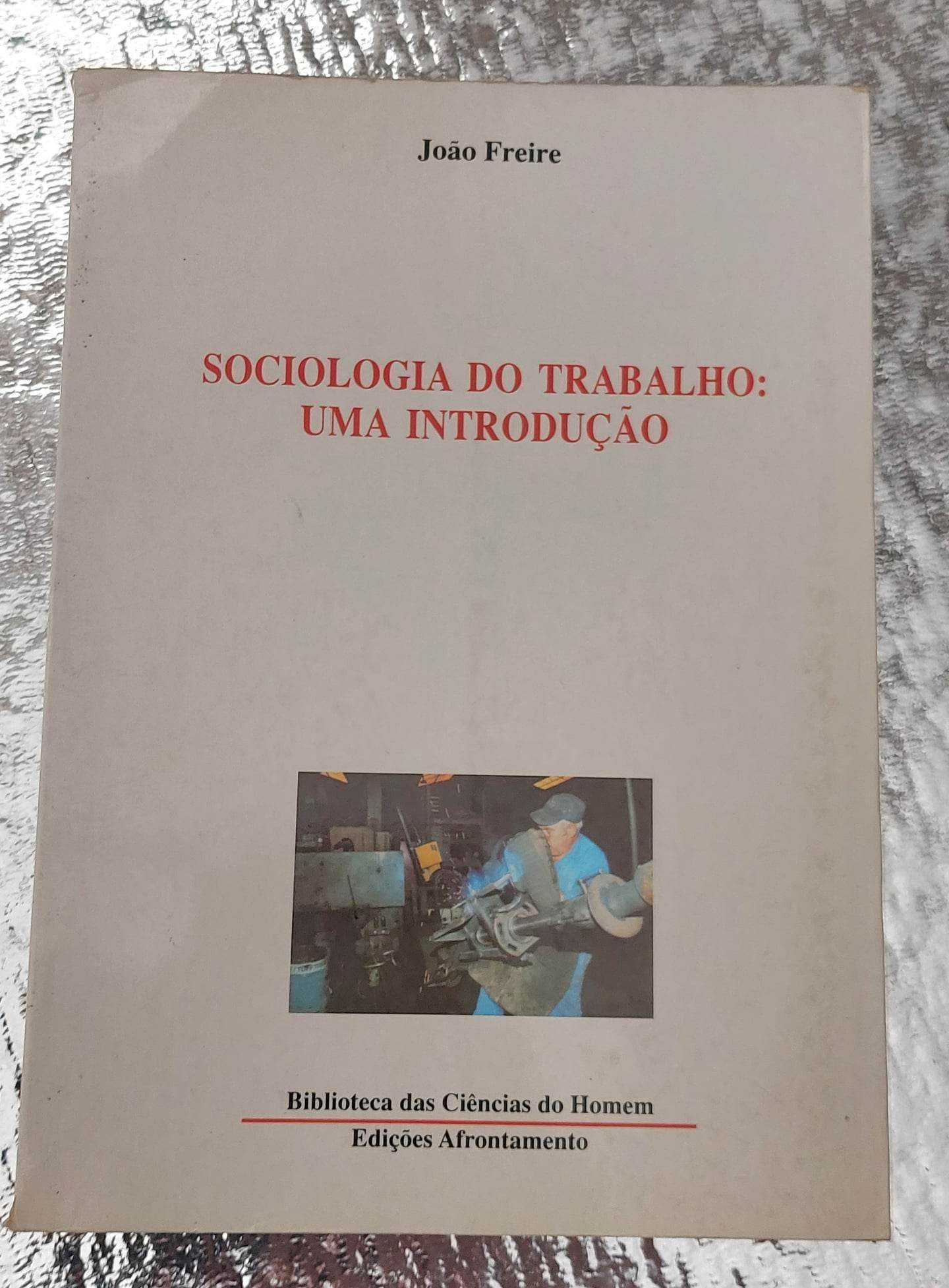 Sociologia da Empresa