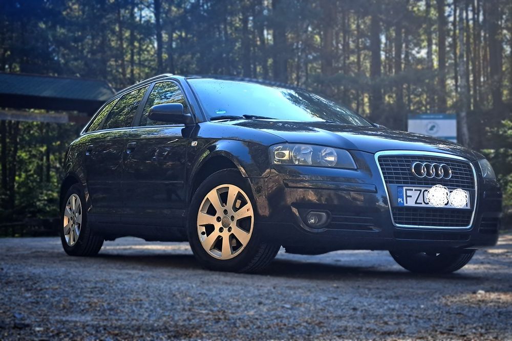 Audi A3 8p Benzyna