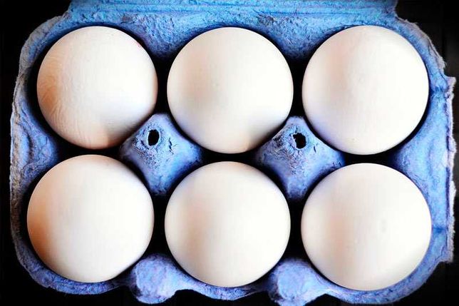 Опт та роздріб м'ясояєчних інкубаційних яєць