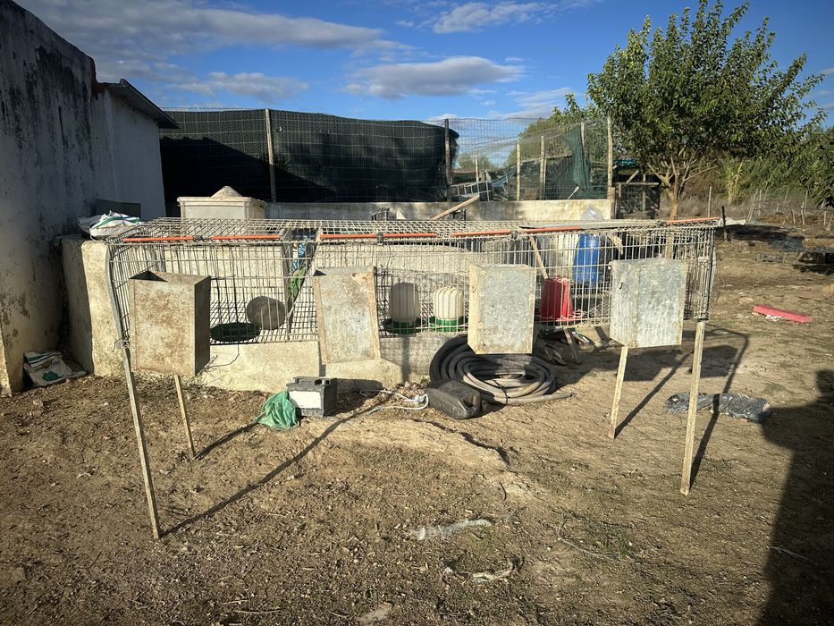 Coelheiras para coelhos ou outros animais