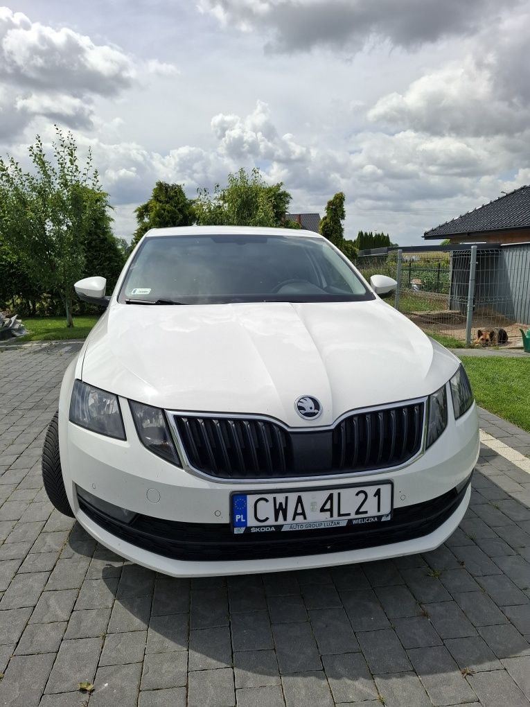 Piękna Skoda Octavia 2020r.1,6 TDI.Polski Salon.Oryginał.