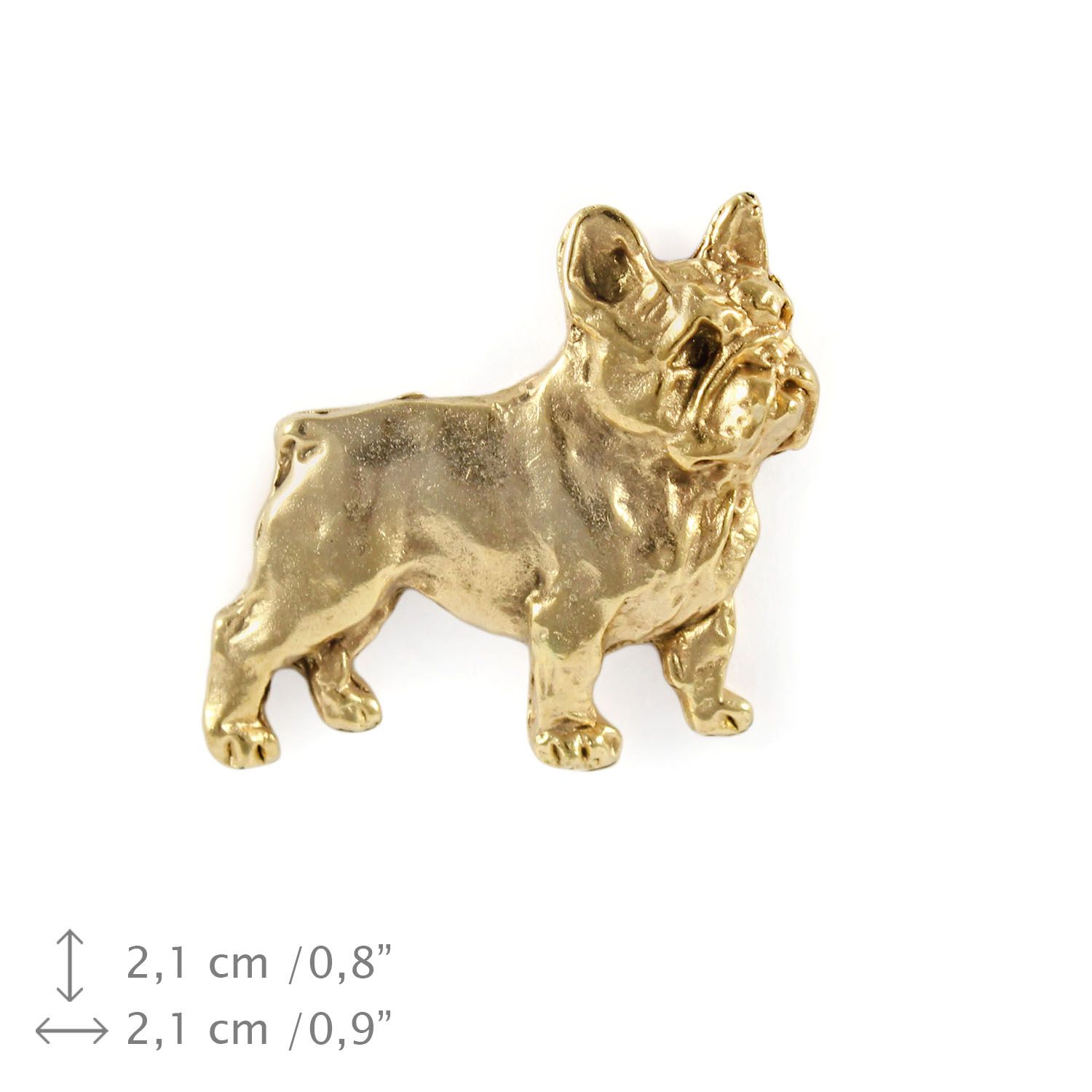 buldog francuski i - broszka z psem w pudełku ozdobnym, elegancki poz