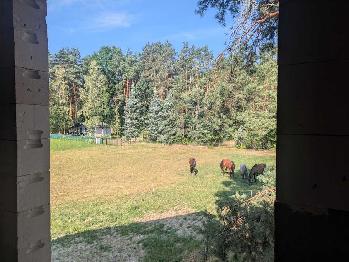 Dom jednorodzinny w Gulczewie, koło Wyszkowa nad Bugiem,150m. do rzeki