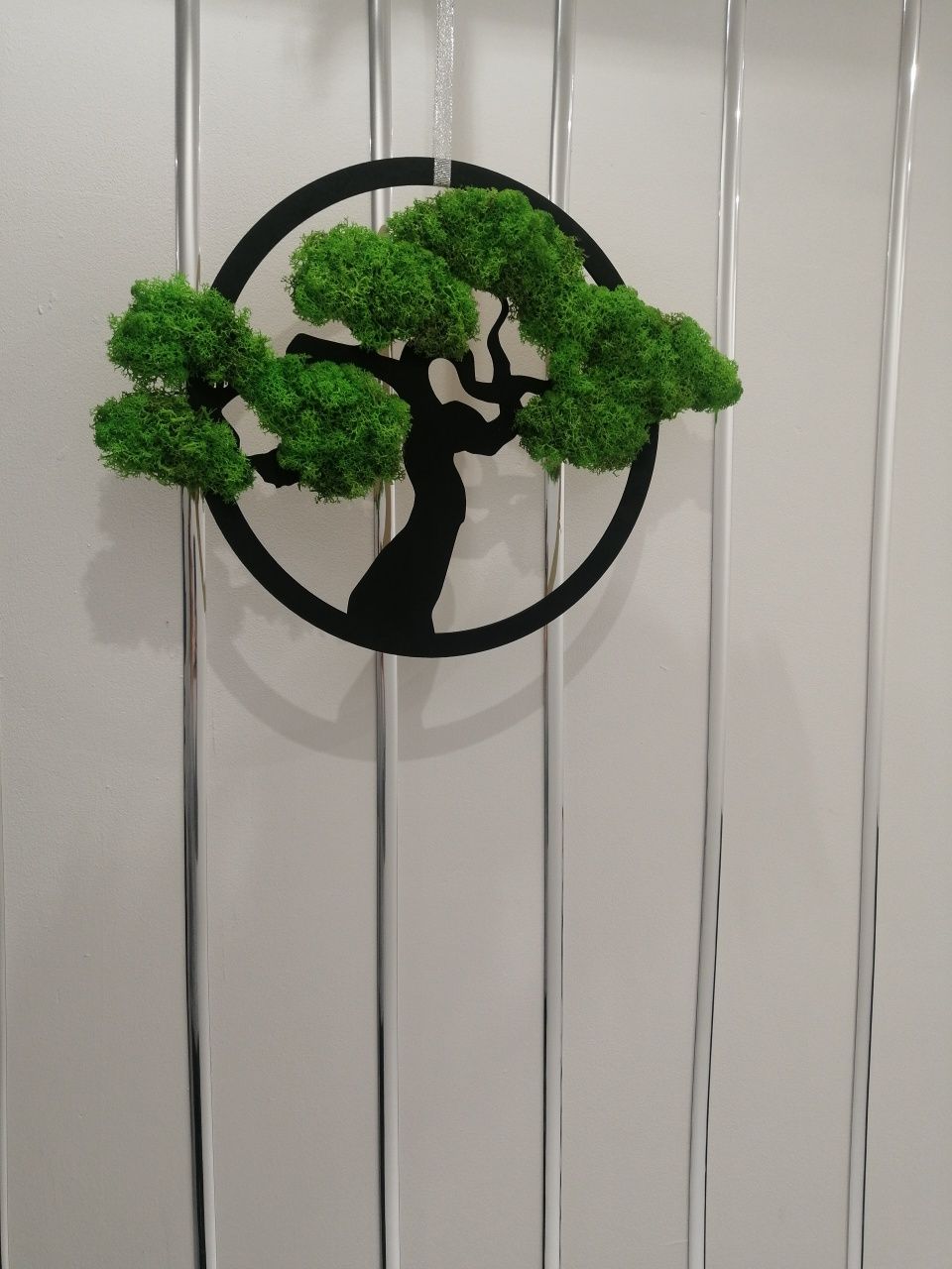 Obraz  Bonsai z  mchem 30cm