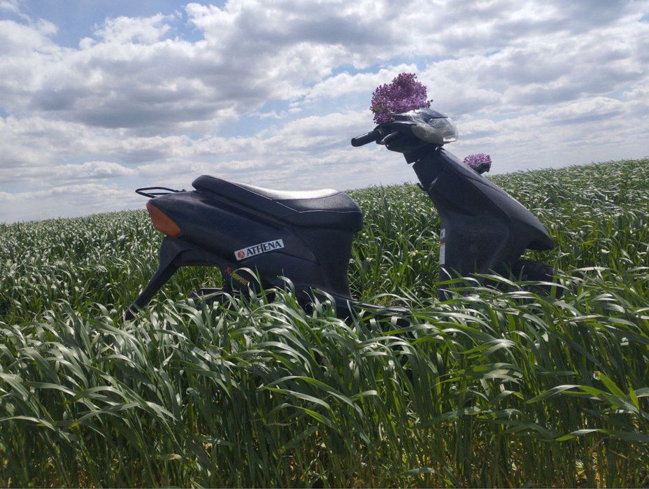 Сузуки летс 2 бабочка