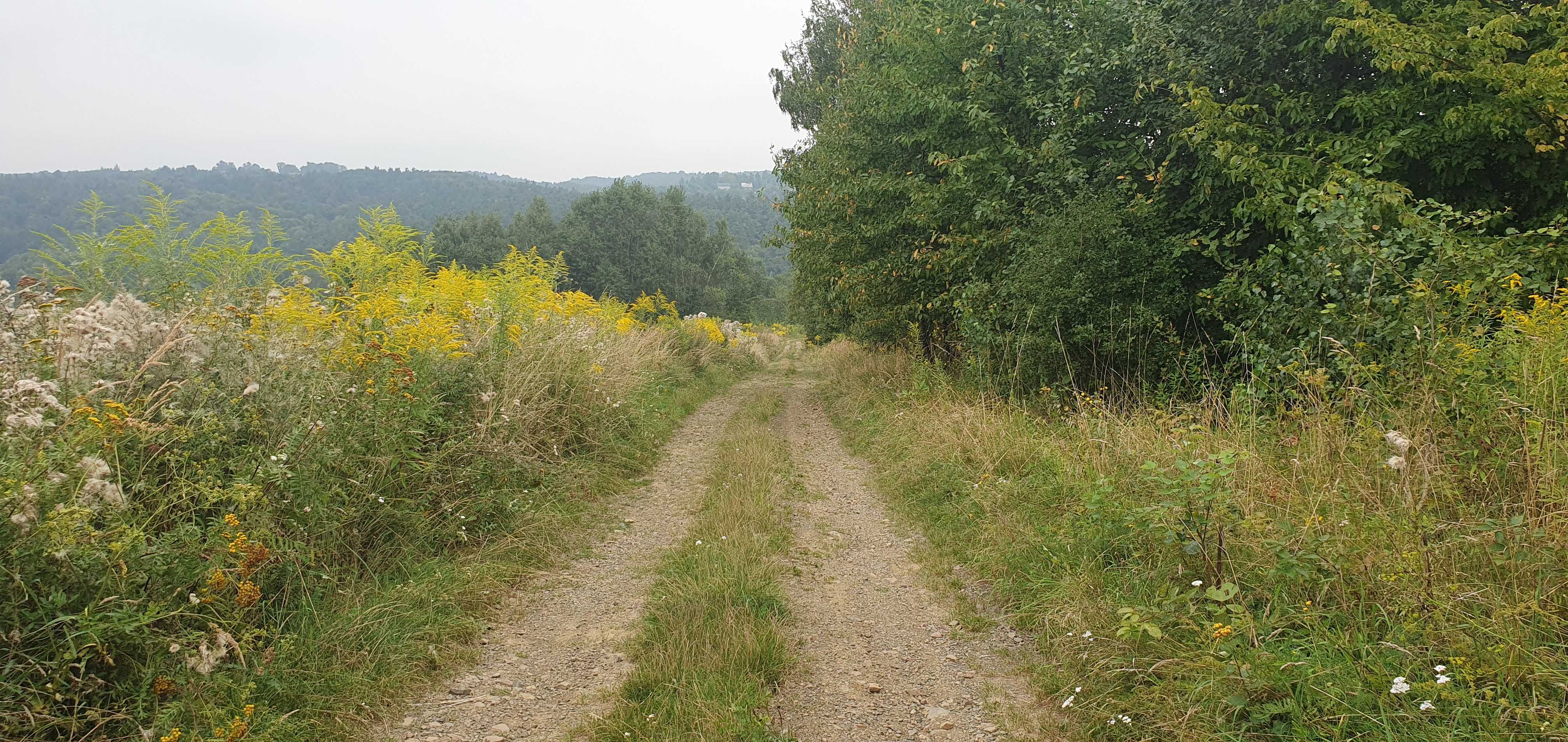 Działka rekreacyjna Aleksandrowice gm. Zabierzów