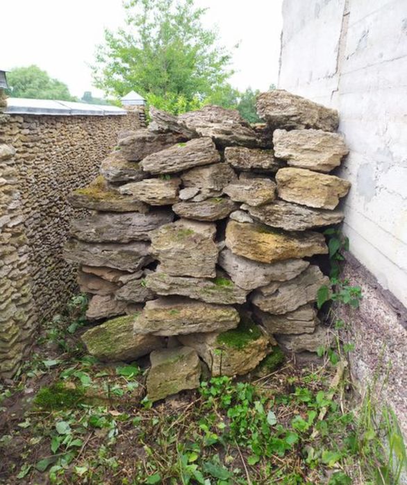 Камінь природний ракушняк