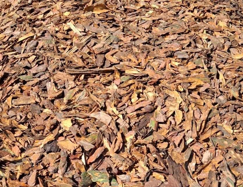 KORA SOSNOWA 80L Sortowana Ogrodowa Workowana Drobna Średnia Gruba