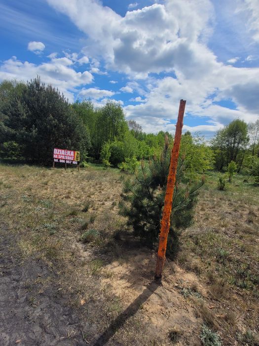 Działka budowlana Chrośna 4765 m2