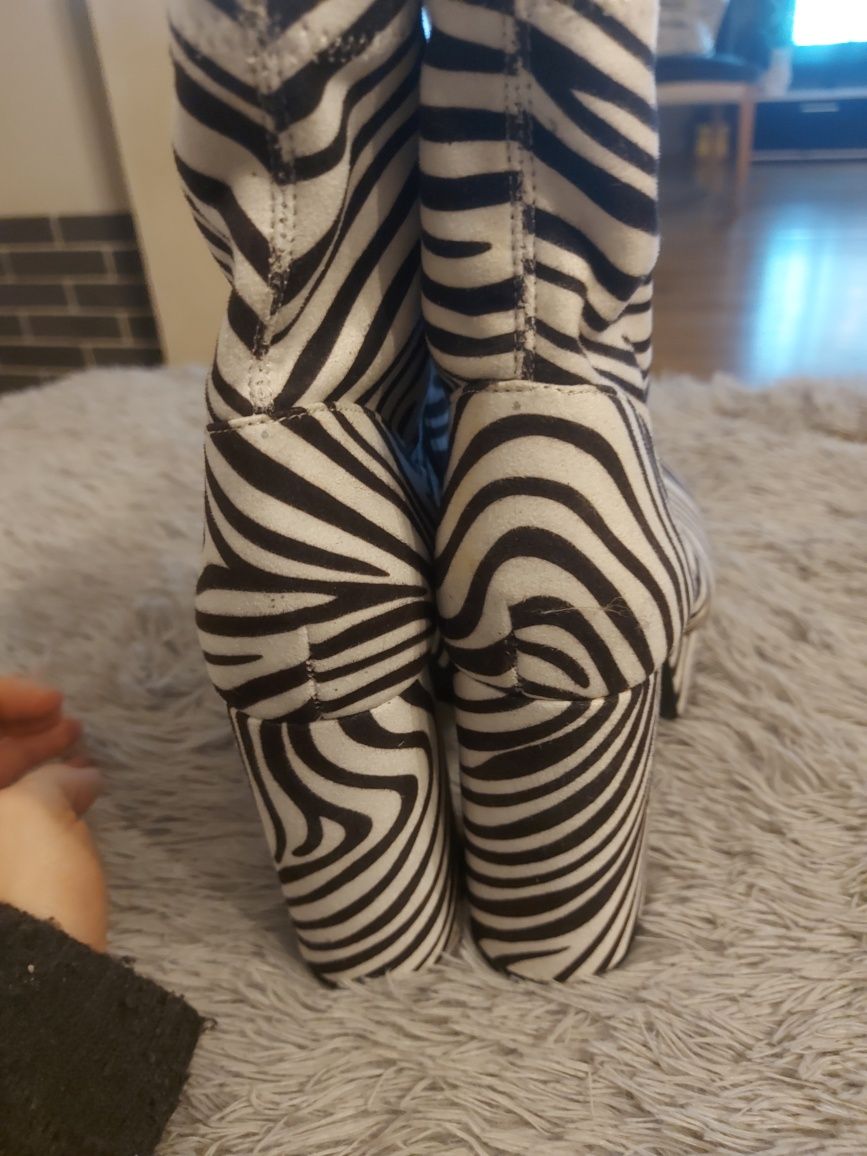 Botki damskie zebra