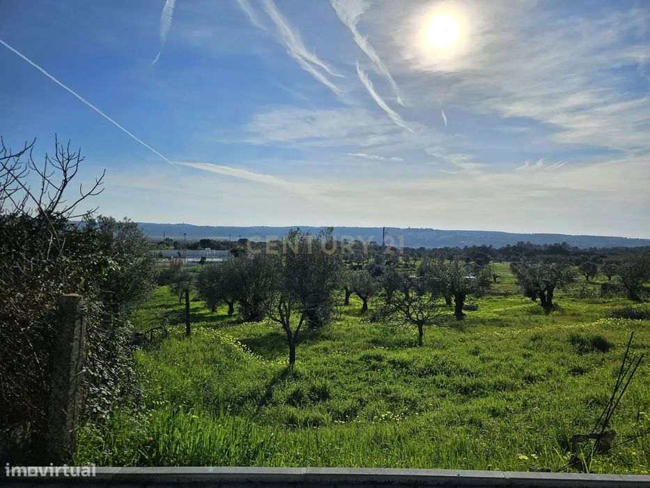 Terreno Rústico à Venda em Montalvo - Oportunidade Única