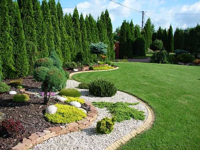 Glebogryzarka separacyjna wycinanie drzew koszenie trawy lubin