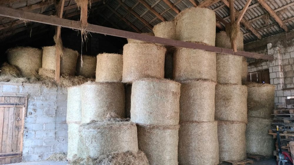 Sprzedam siano/słomę owsianą sezon 2025