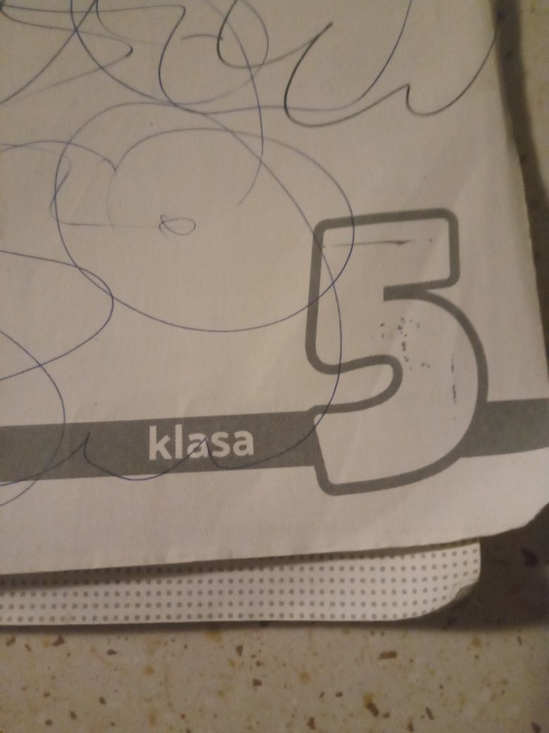 Ćwiczenia brainy klasa 5 zapisana