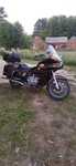 Honda GL gl goldwing 1100