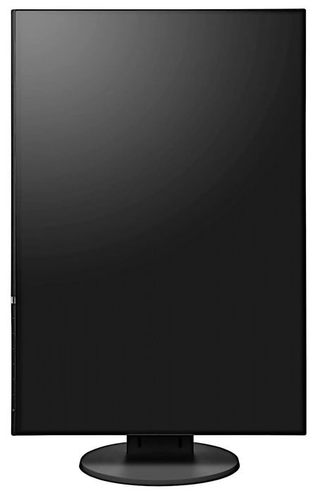 Profesjonalny Bezramkowy Monitor Eizo FlexScan IPS Cena Nowego 1800zł