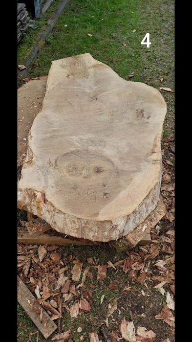 Dębowe plastry i jesion.czeczot