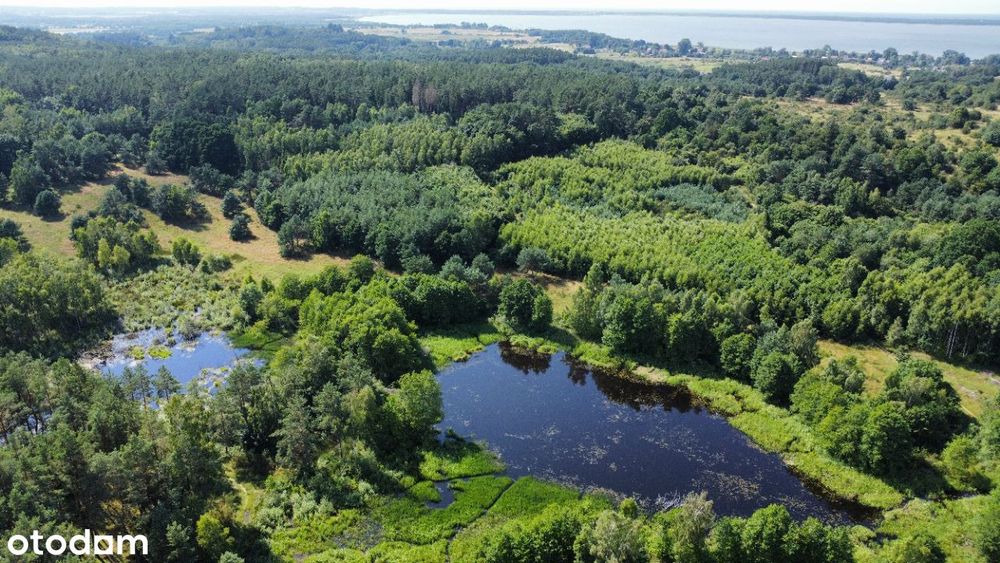 17ha działki ze stawami Gardna Wielka