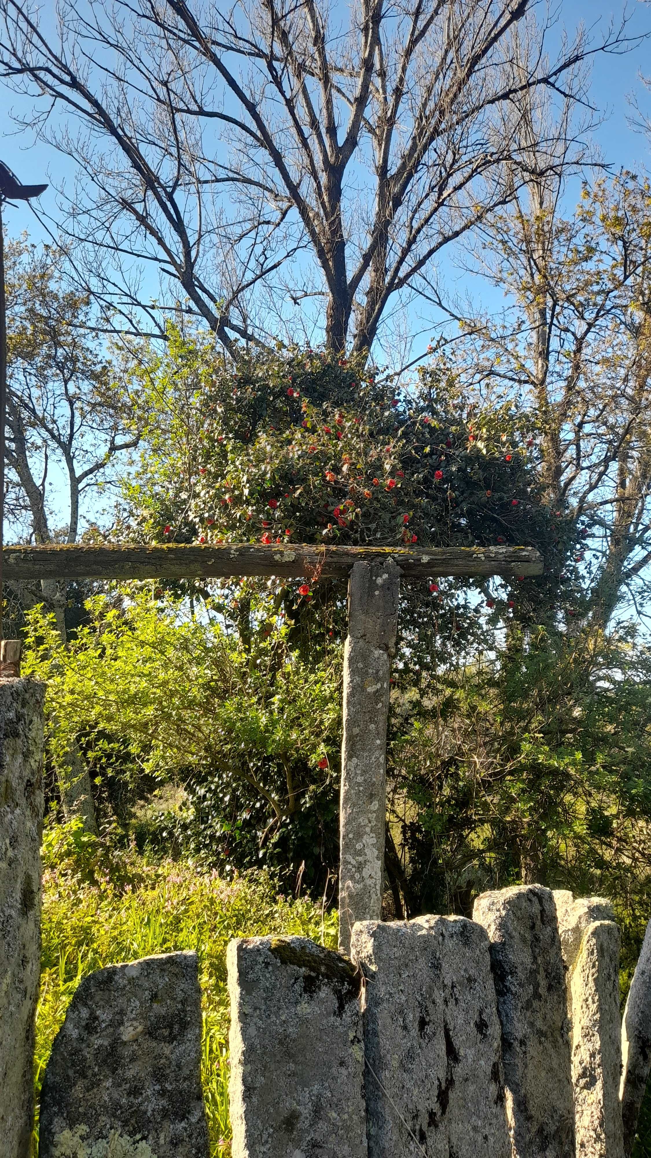 Moradia para recuperar com terreno próxima aos Carvalhos - V. N. Gaia