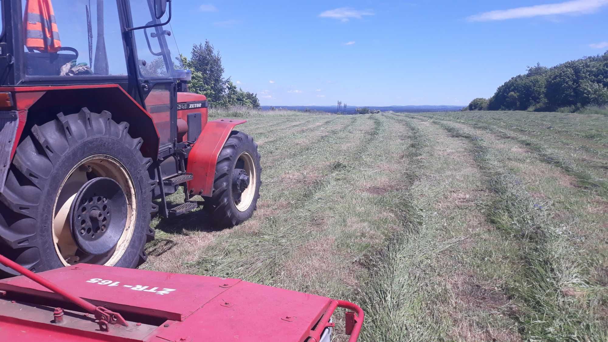 Koszenie trawy i mulczerowanie nieużytków ,działek, 6.0.4.0.7.6.5.0.2