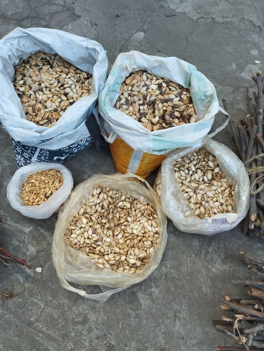 Продам гілочки фруктових дерев для домашніх гризунів, 
гілочки середні