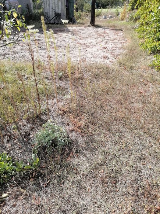 Продам дачный участок ПЗТО