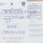 Витяг про несудимість (довідка). Отримання від 1200 грн та апостиль