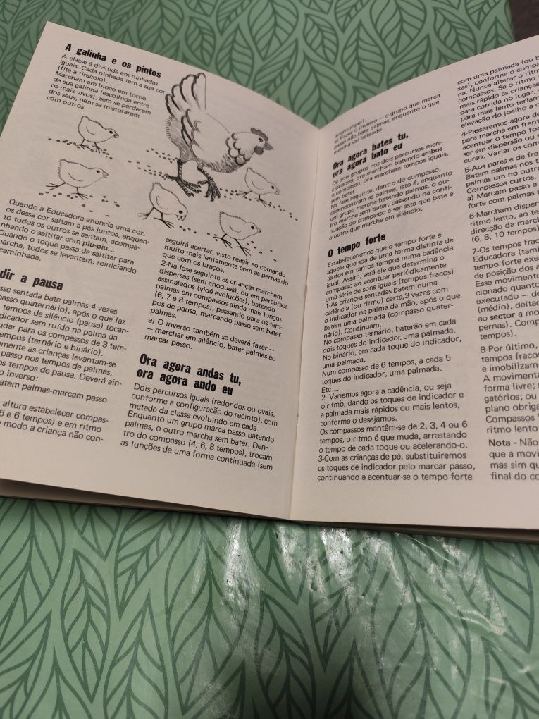 Livro "O movimento no jardim infância"