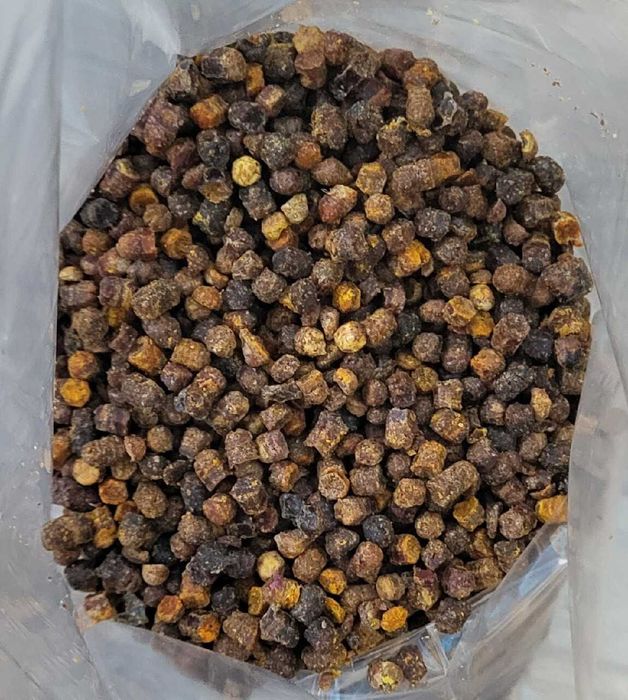 Pierzga Pszczela 1kg HURT z Polskiej Pasieki na Mazowszu