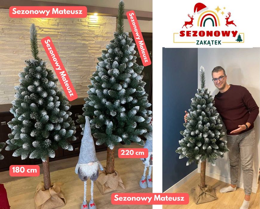 Sosna diamentowa na pniu 180 cm Choinka sztuczna 220 cm 160 cm choinki