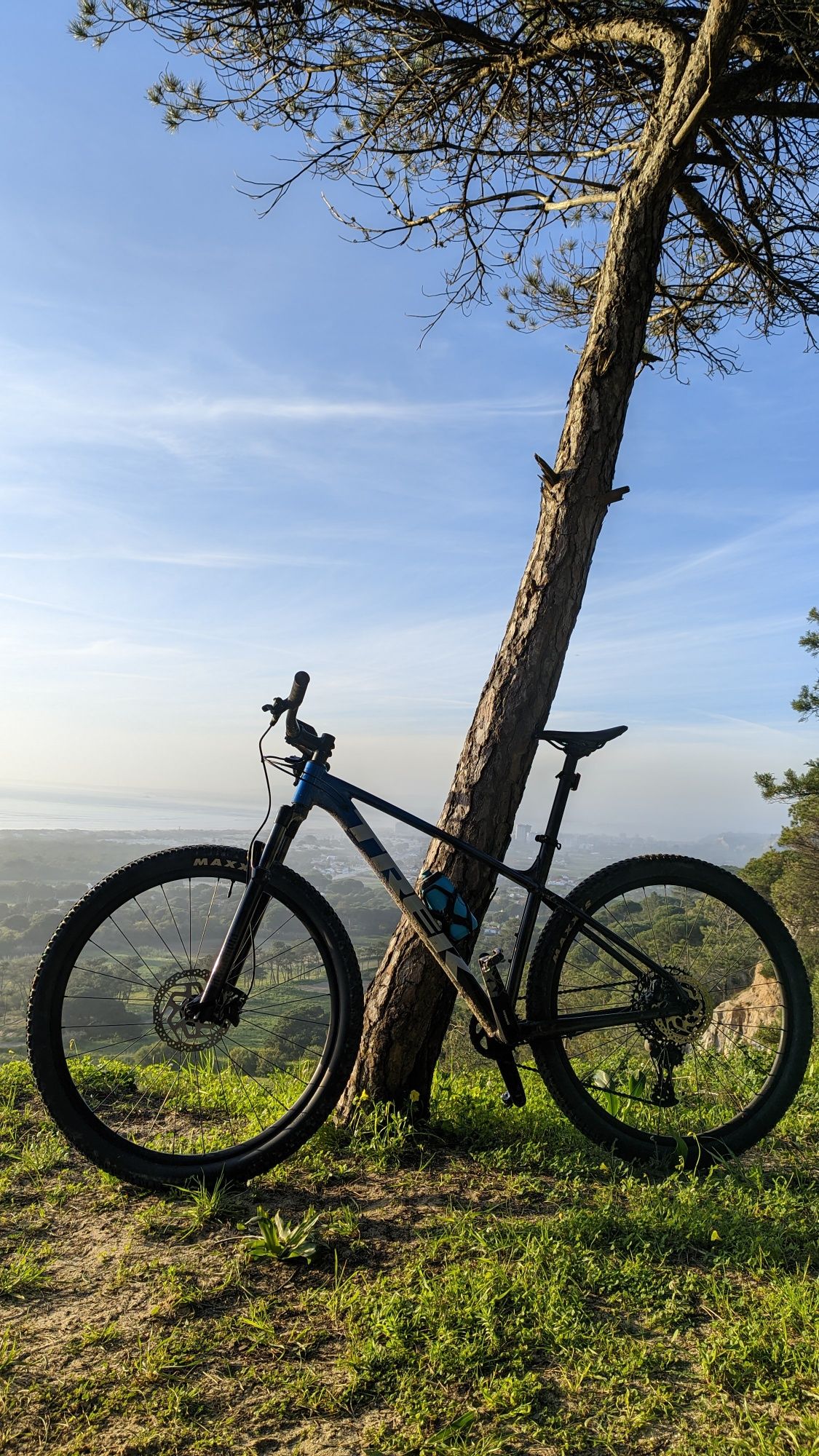 TREK MARLIN 8 Tamanho L Roda 29