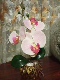 Орхидея латекс в горшке