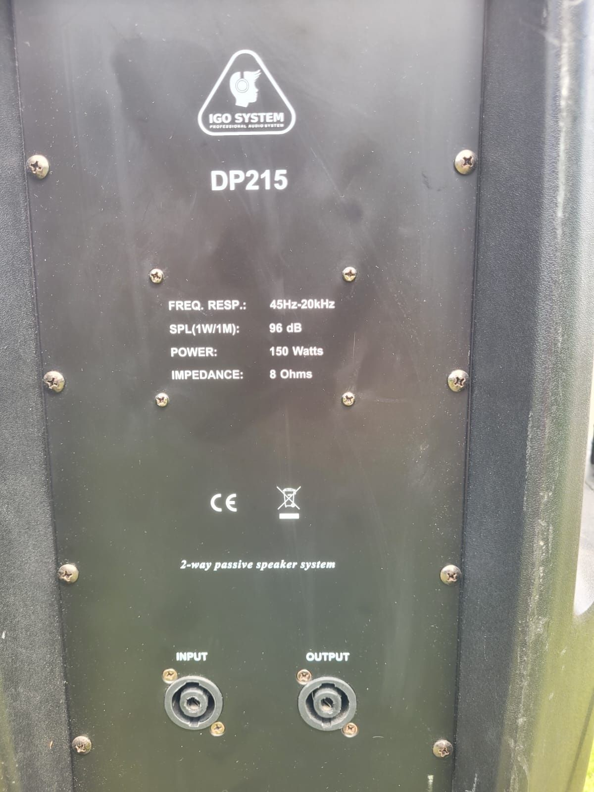 Nagłośnienie Igo System