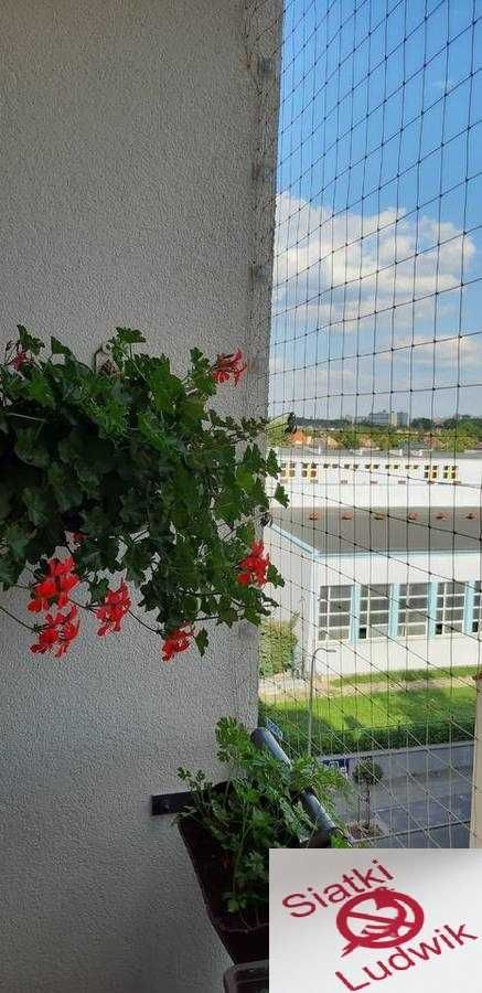 Opole Siatka dla kota, balkon, ptaki, gołębie, kolce