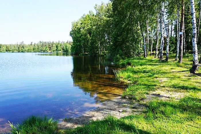 Domek na Kaszubach do wynajęcia