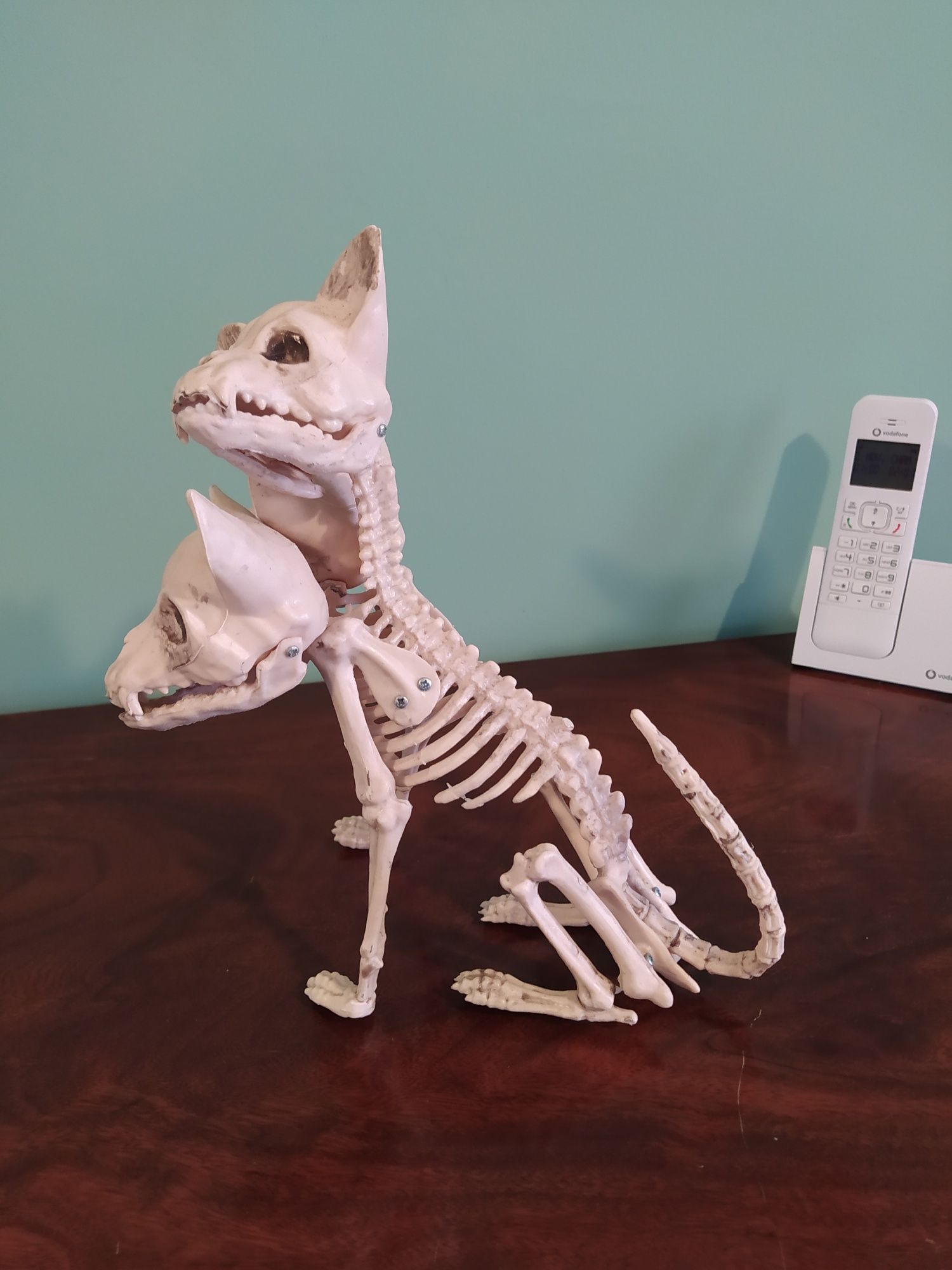 Decoração de Halloween: esqueleto de cão de 3 cabeças Cerberus